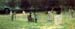 tennis_part_sir_john_l0012