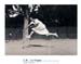 tennis_player_lartigue